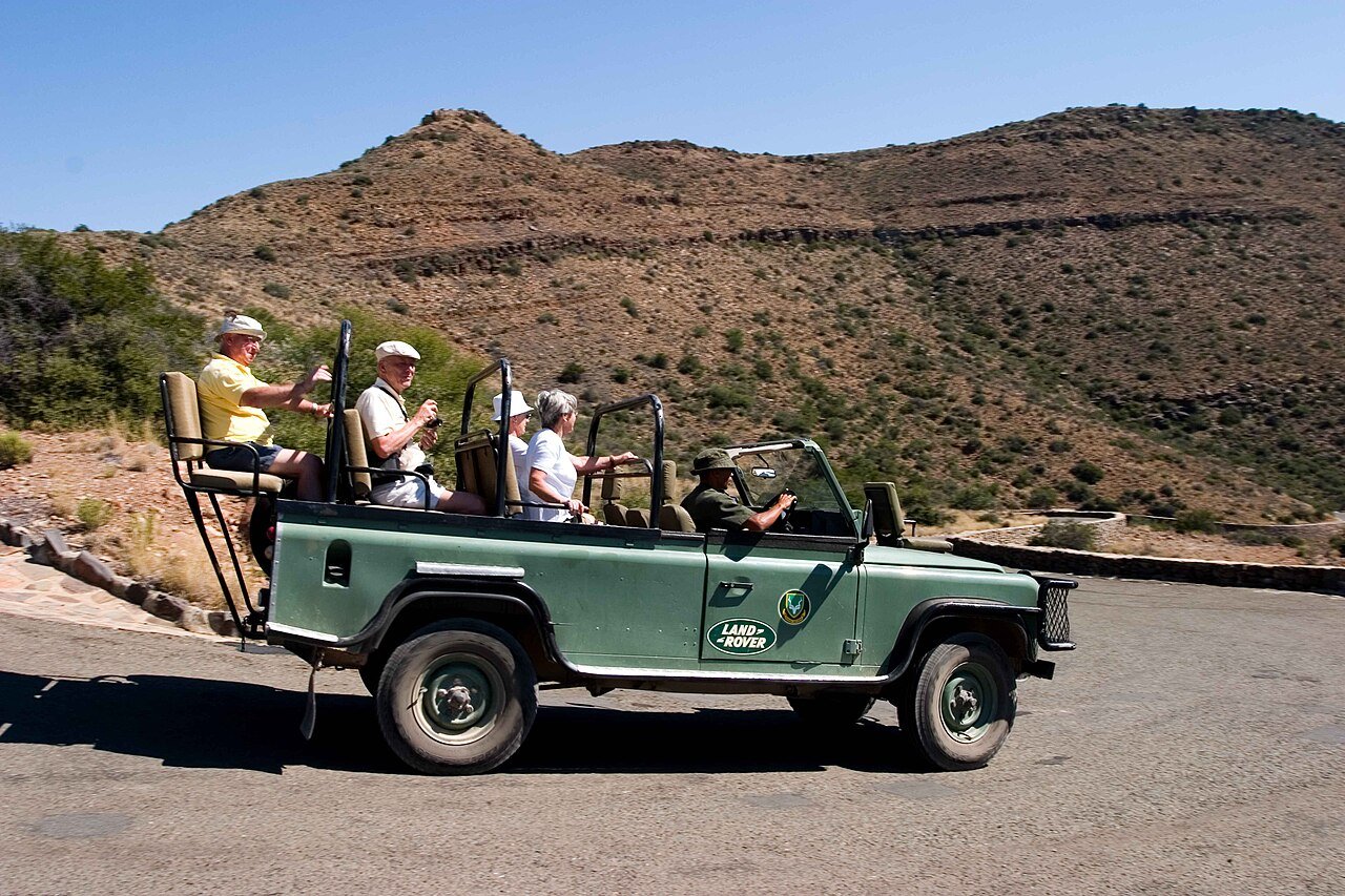 Game drive, Karoo National Park (a different reserve from the demo product)