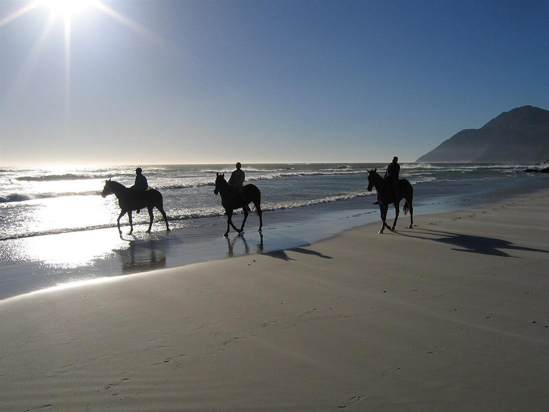 Horses on Noordhoek beach