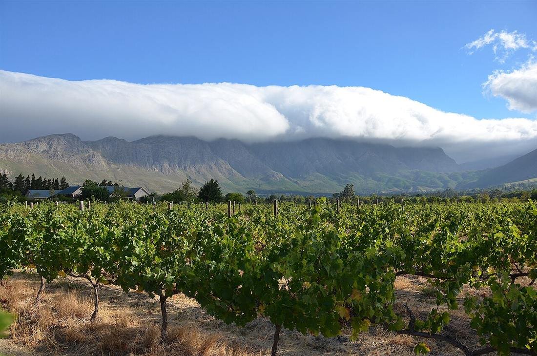 Wine farm near Franschhoek