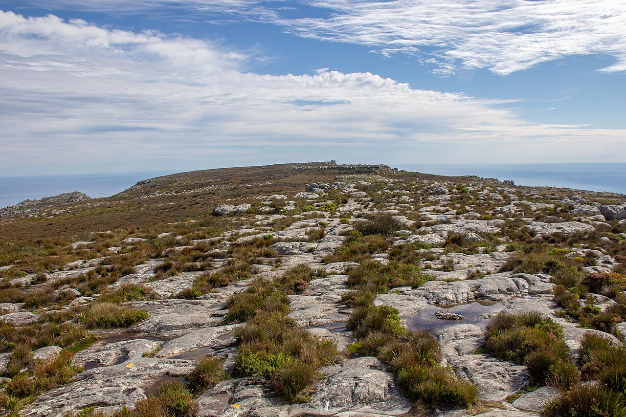 Table Mountain, Cape Town (the zipline sits at the foot of the mountain)